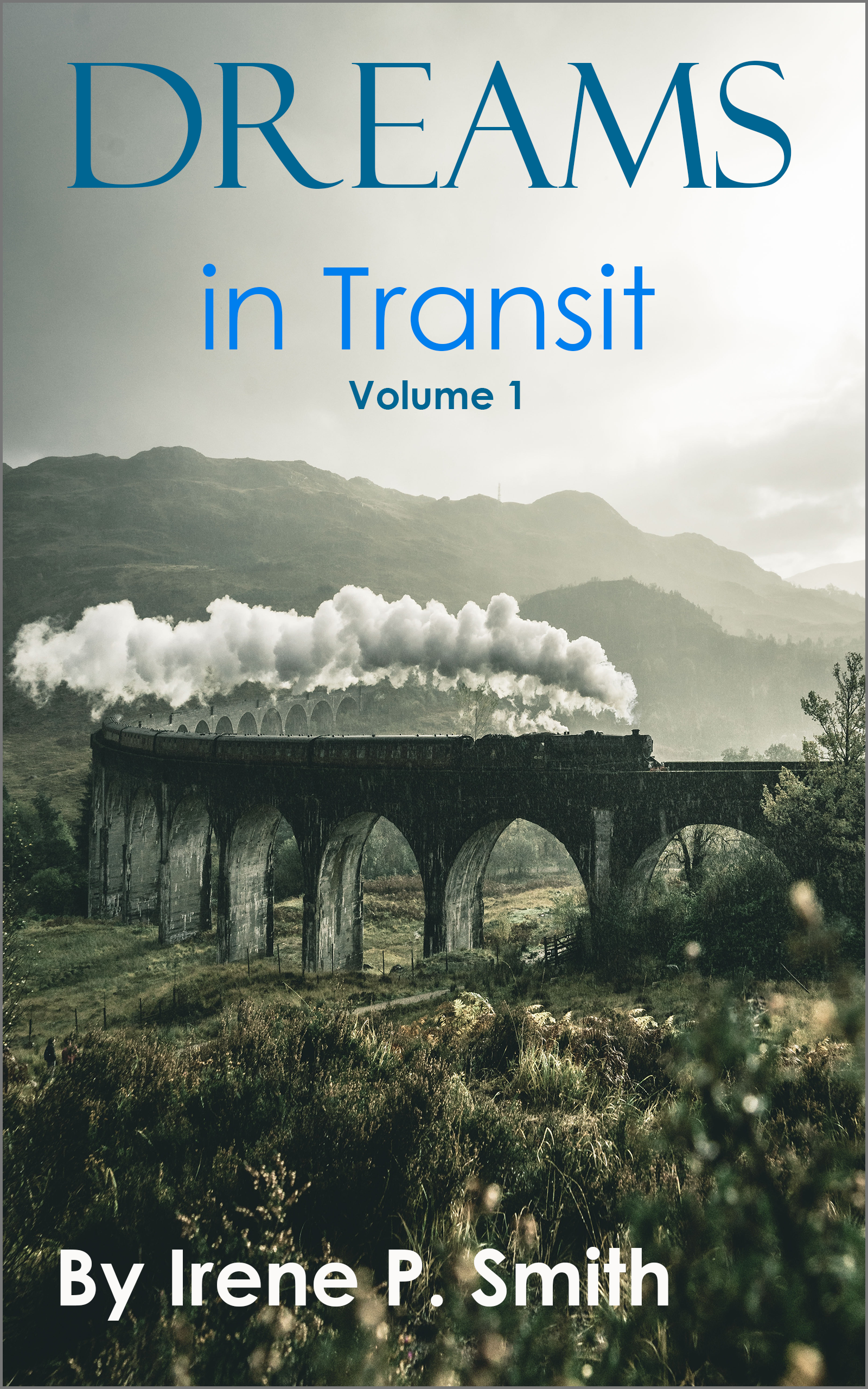 Cover image of Dreams in Transit