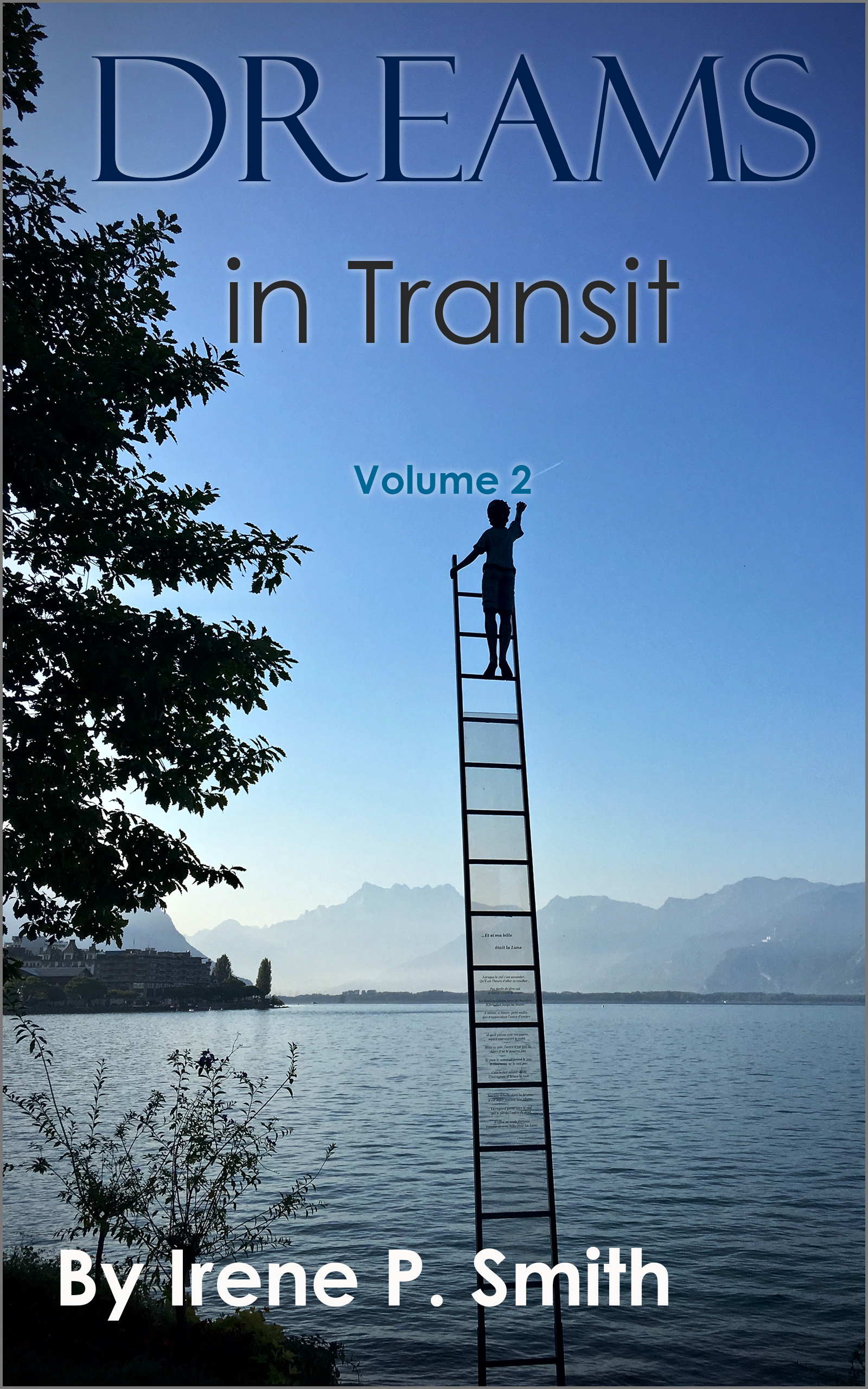 Cover image of Dreams in Transit, Volume 2